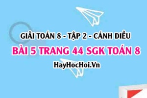 Bài 5 trang 44 Toán 8 Tập 2 Cánh Diều
